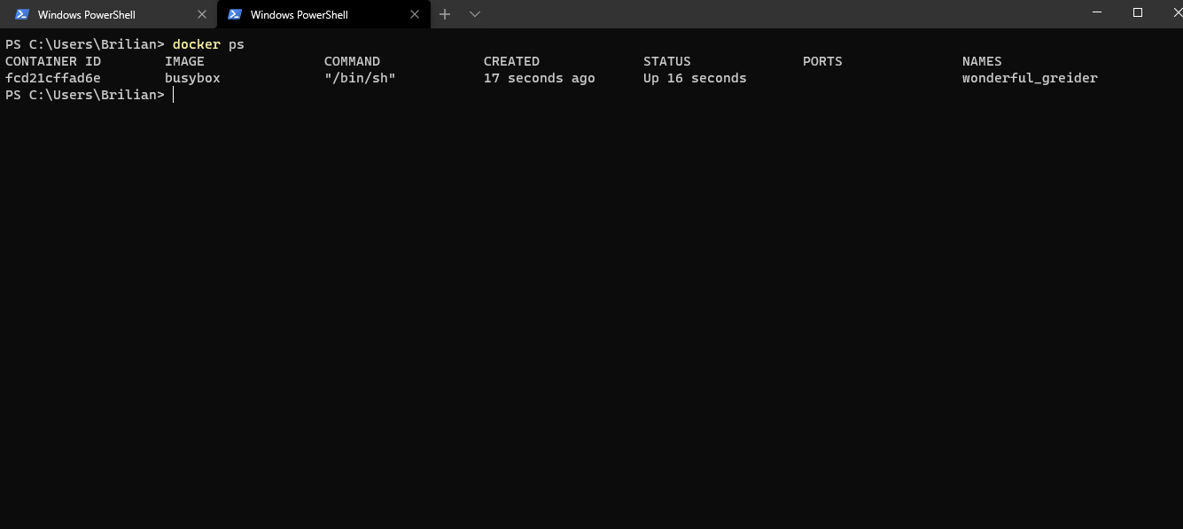 docker ps listing the running BusyBox container, its ID, command, status, and name.