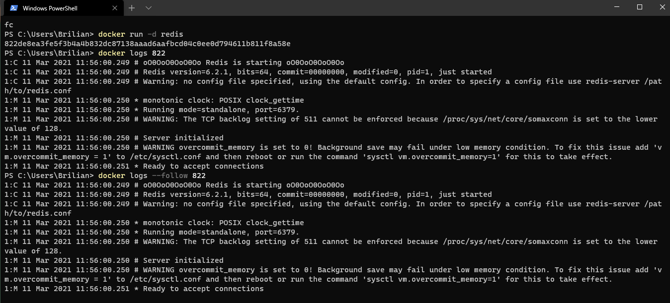 Viewing Redis startup output with docker logs and following the container logs.